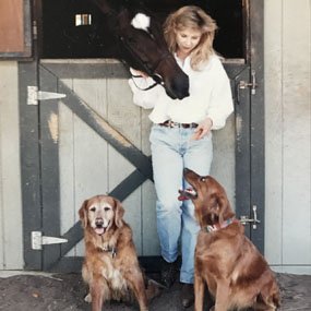 golden rule equine services
