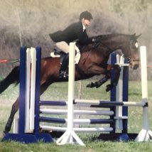 meet our equine veterinarian